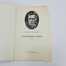 "Васюткино озеро" Виктор Астафьев. Картинка 2