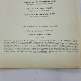 "Васюткино озеро" Виктор Астафьев. Картинка 5