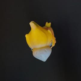 Картинка 5