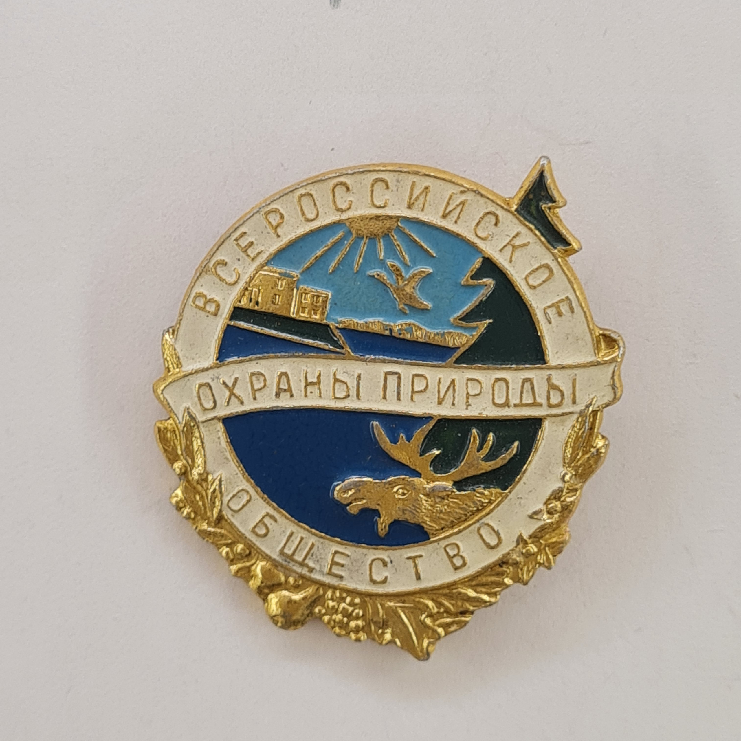 Картинка 1