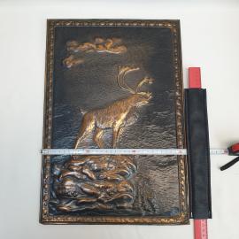 Картинка 3