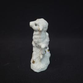 Картинка 2