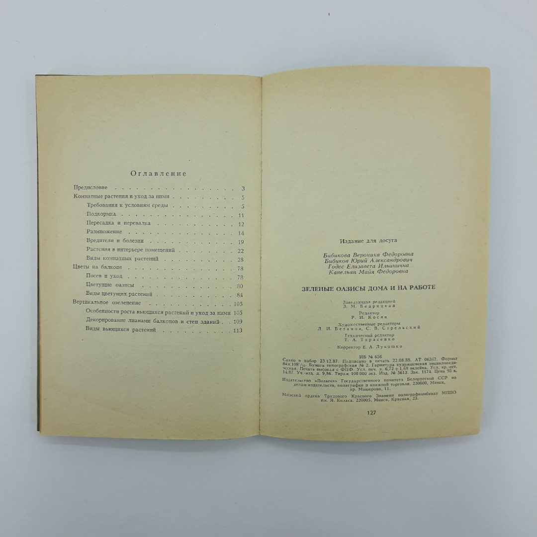 "Зеленый оазисы дома и на работе" В.Ф.Бибикова. Картинка 3