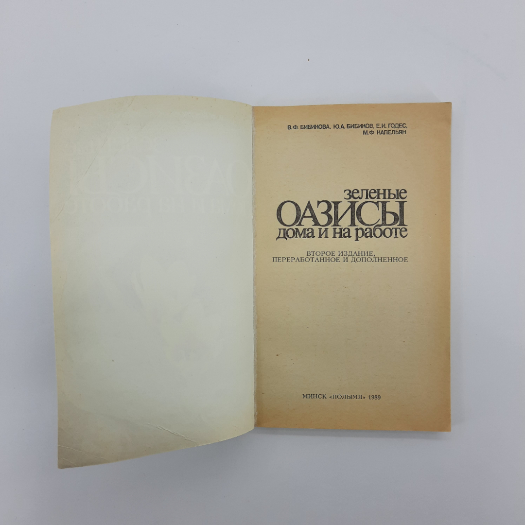 "Зеленый оазисы дома и на работе" В.Ф.Бибикова. Картинка 8