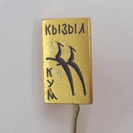 Значок СССР. Кызыл, Тува, птицы, городская тематика. Винтажный значек.