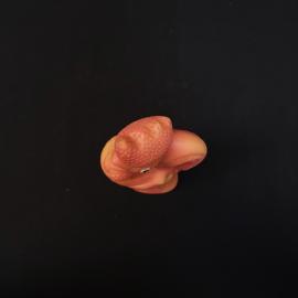 Картинка 5