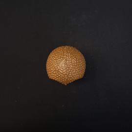 Картинка 5