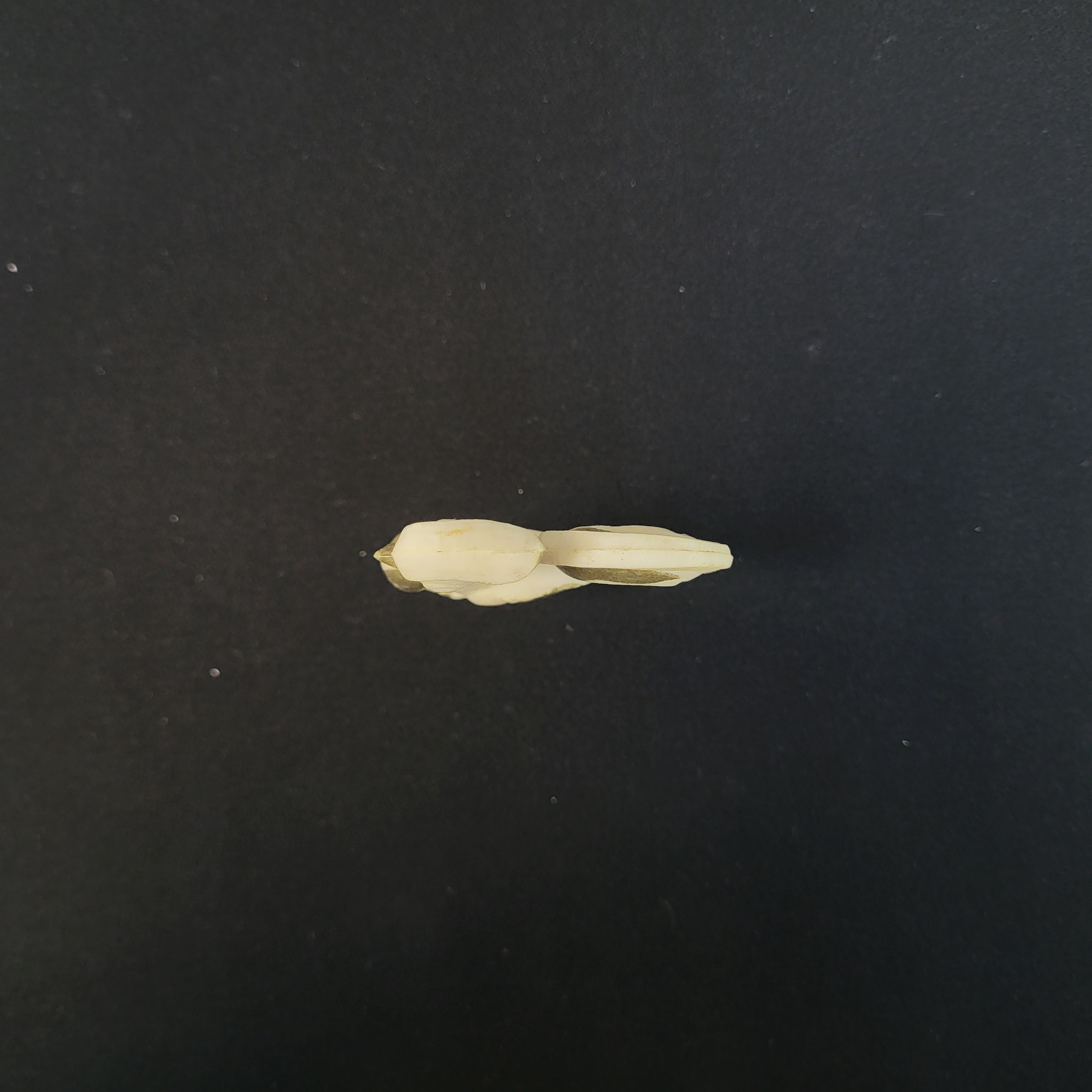Картинка 4