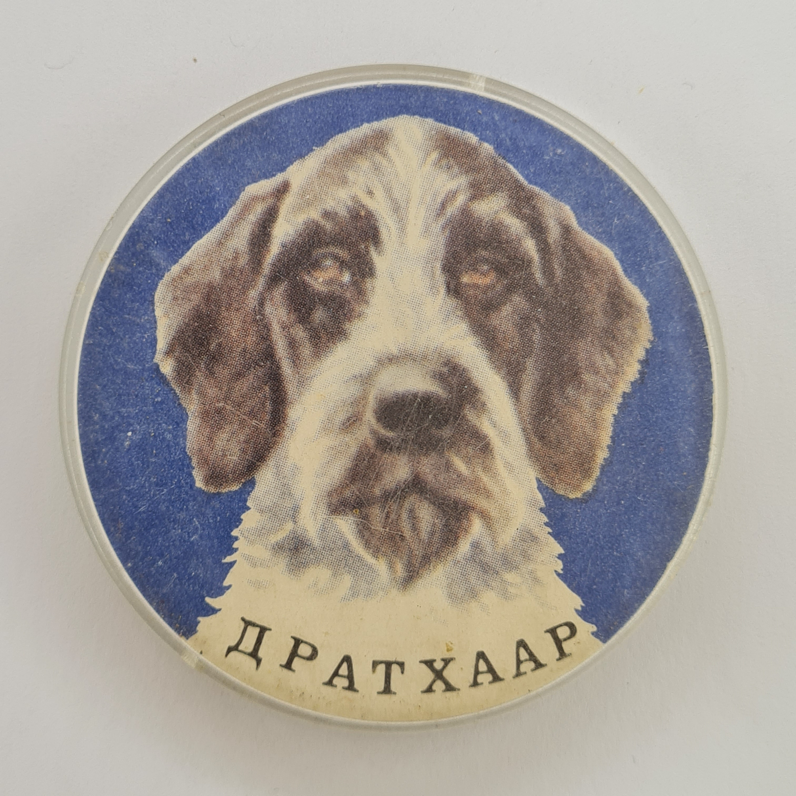 Картинка 1