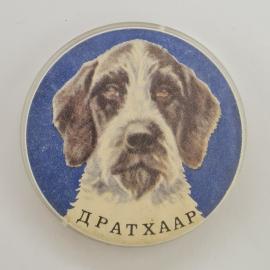 Значок СССР. Дратхаар, собака, охота. Винтажный значек.