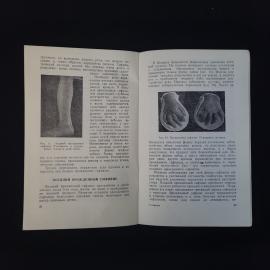 Картинка 6