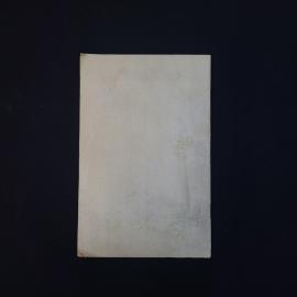 Картинка 3