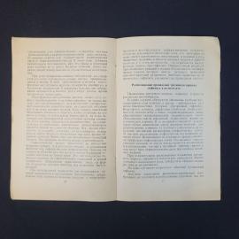 Картинка 6