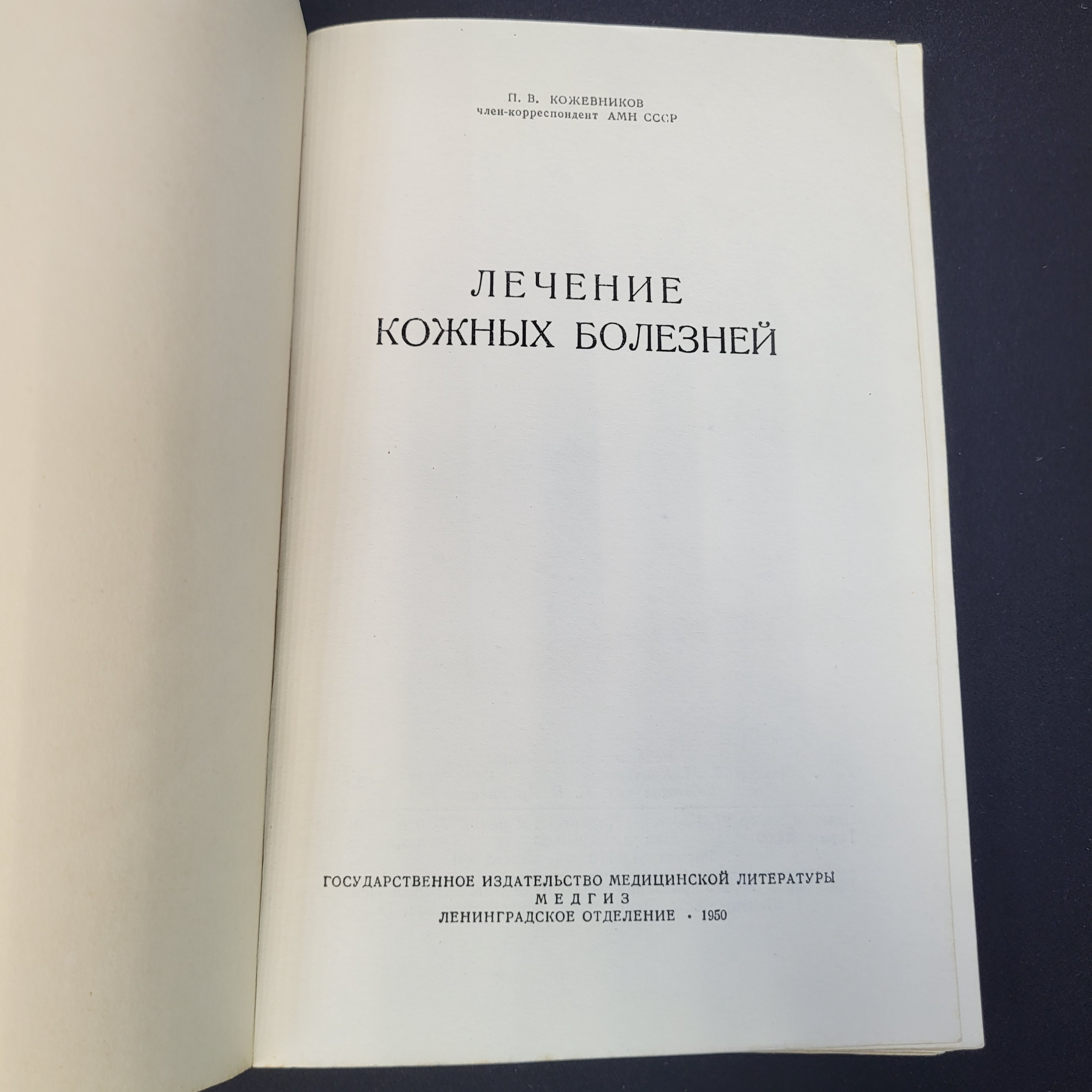 Картинка 4