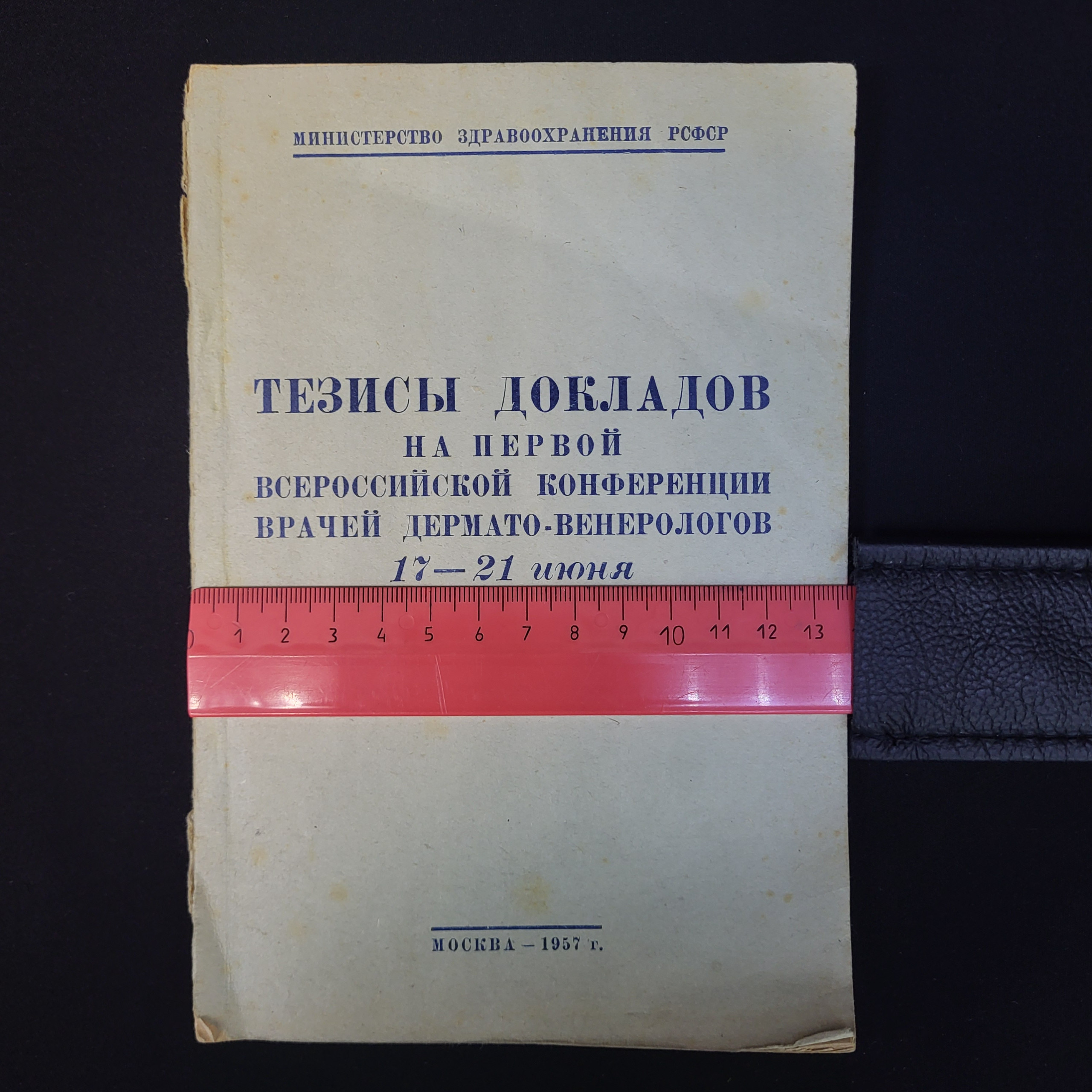 Картинка 6