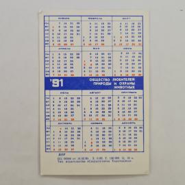Картинка 2