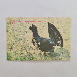 Карманный календарик СССР 1989. Росохотрыболовсоюз, птица глухарь, фауна. Советский календарь
