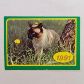 Карманный календарик СССР 1991. Сиамская кошка на траве, домашние животные. Советский календарь