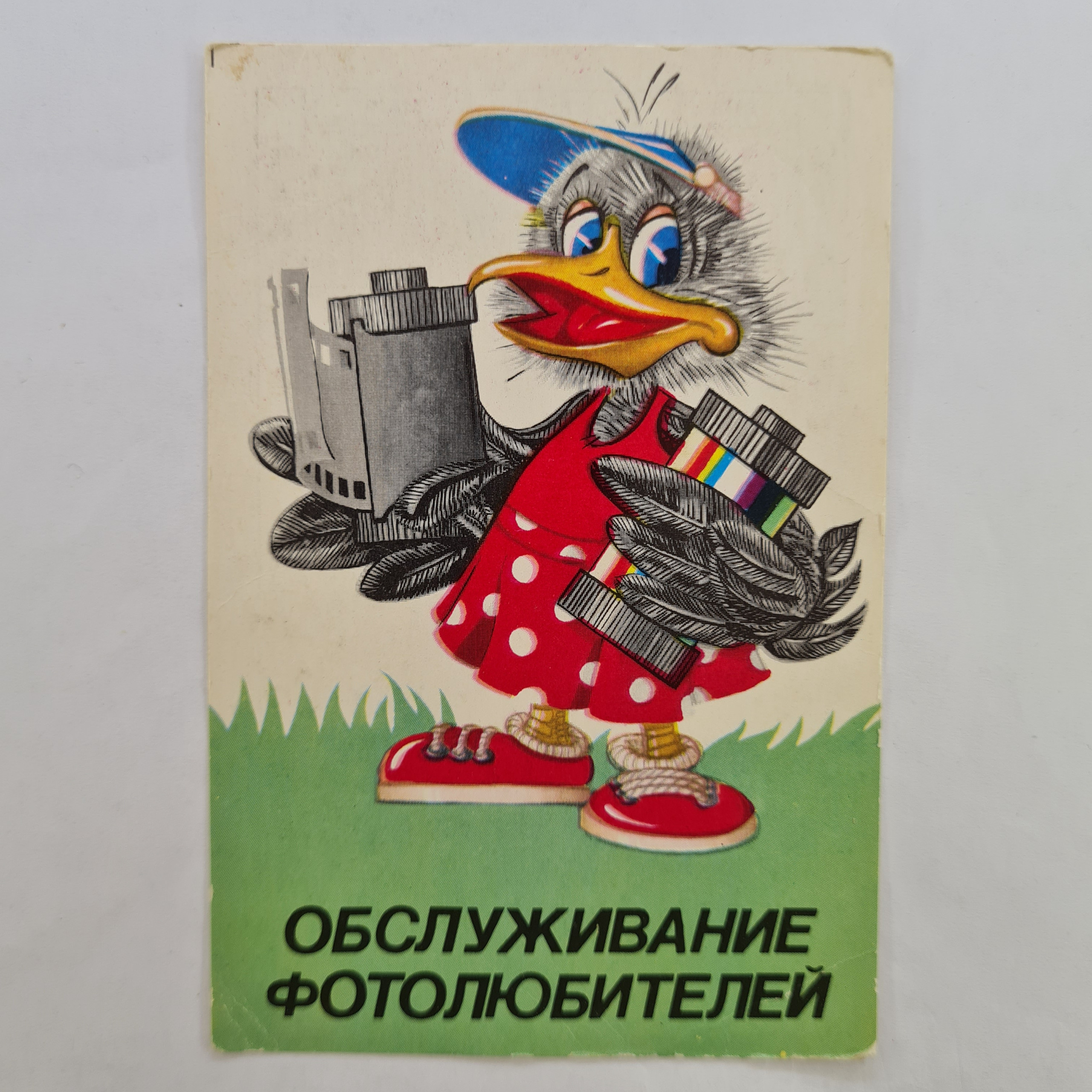 Картинка 1