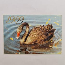 Карманный календарик СССР 1989. Черный лебедь на воде, птицы. Советский календарь винтажный
