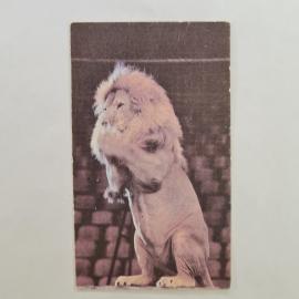 Карманный календарик СССР 1989. Лев, советский цирк. Советский календарь коллекционный