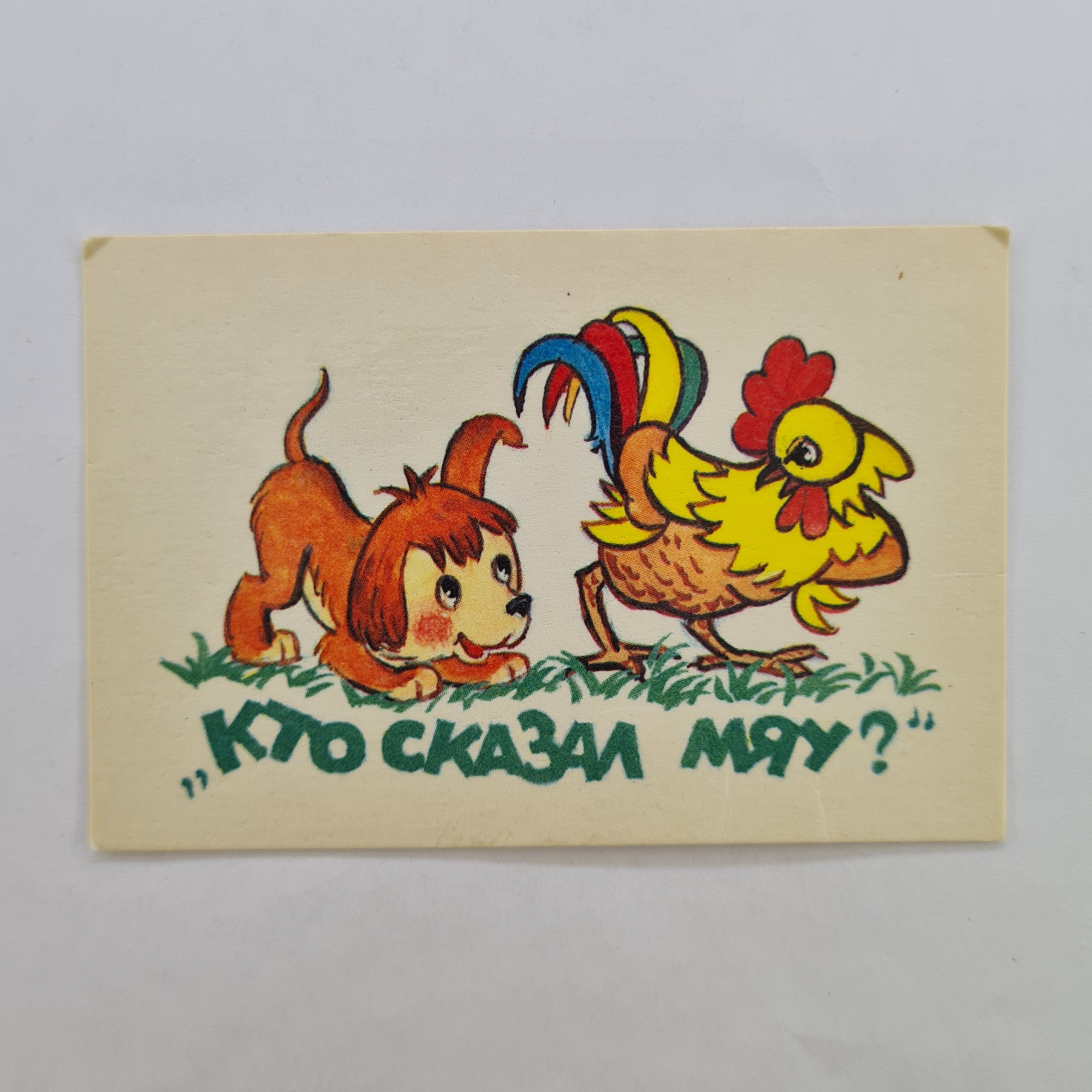 Картинка 1