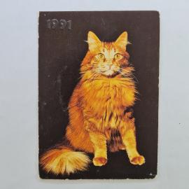 Карманный календарик СССР 1991. Кошка, фото В. Жаворонкова, животные. Советский календарь