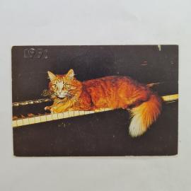 Карманный календарик СССР 1991. Кошка на пианино, домашние животные. Советский календарь