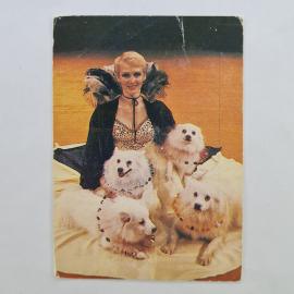 Карманный календарик СССР 1984. Цирк, артистка с белыми собаками. Советский календарь