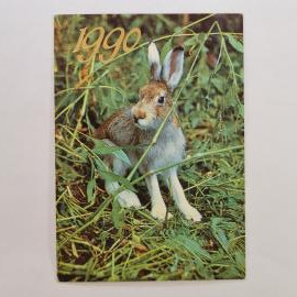 Карманный календарик СССР 1990. Заяц в траве, животные. Советский календарь винтажный
