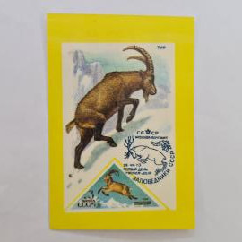 Карманный календарик СССР 1991. Тур, почтовая марка, заповедники. Советский календарь