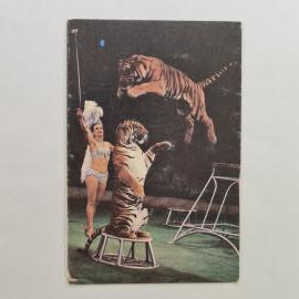 Карманный календарик СССР 1989. Советский цирк, дрессировщица и тигры на арене. Календарь