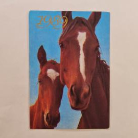 Карманный календарик СССР 1989. Лошади, животные. Советский календарь винтажный, коллекционный