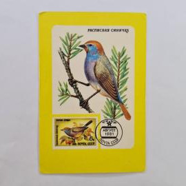 Карманный календарик СССР 1989. Расписная синичка, почтовая марка, птицы. Советский календарь