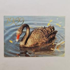 Карманный календарик СССР 1989. Черный лебедь на воде, птицы. Советский календарь