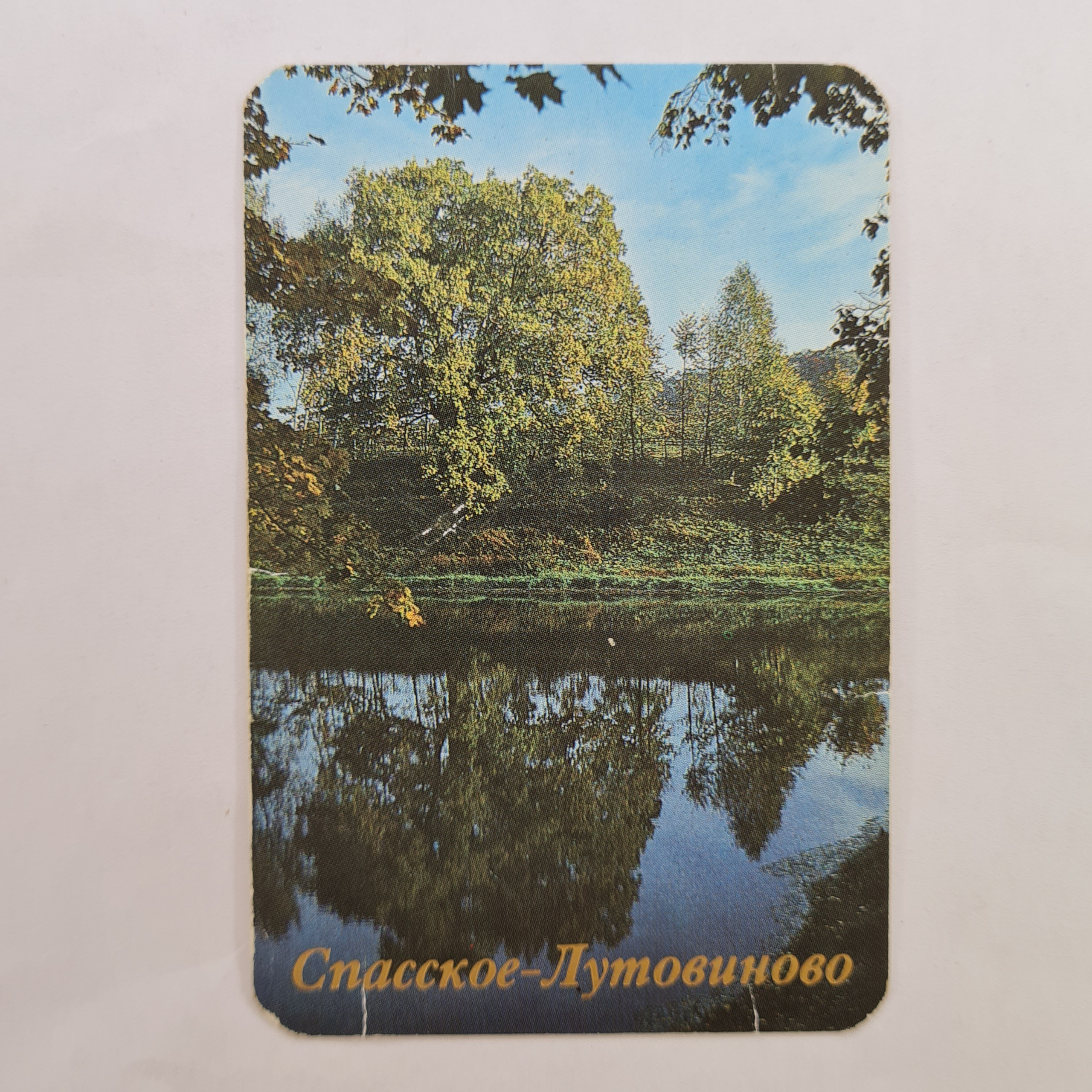 Картинка 1