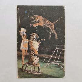 Карманный календарик СССР 1989. Дрессировщица с тиграми, серия Советский цирк. Советский календарь