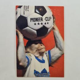 Карманный календарик 1992. PIONEER CUP, обезьяна с футбольным мячом, спорт. Календарь винтажный