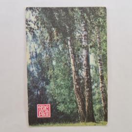Карманный календарик СССР 1987. Березовая роща, Госстрах, природа. Советский календарь