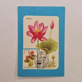 Карманный календарик СССР 1989. Лотос, почтовая марка флора СССР, цветы. Советский календарь