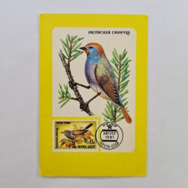 Карманный календарик СССР 1989. Расписная синичка, почтовая марка, птицы. Советский календарь