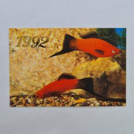 Карманный календарик 1992. Красный меченосец, аквариумная рыба. Календарь винтажный коллекционный