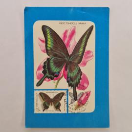 Карманный календарик СССР 1989. Бабочка хвостоносец Маака, Красная книга. Советский календарь