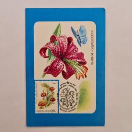 Карманный календарик СССР 1990. Лилия кудреватая, цветы и бабочка. Советский календарь