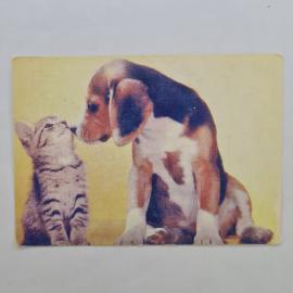 Карманный календарик СССР 1990. Котенок и щенок, домашние животные. Советский календарь