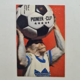 Карманный календарик 1992. Pioneer Cup, обезьяна с футбольным мячом, спорт. Календарь винтажный