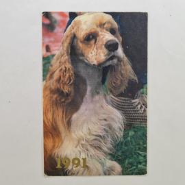 Карманный календарик СССР 1991. Собака, домашние животные. Советский календарь винтажный