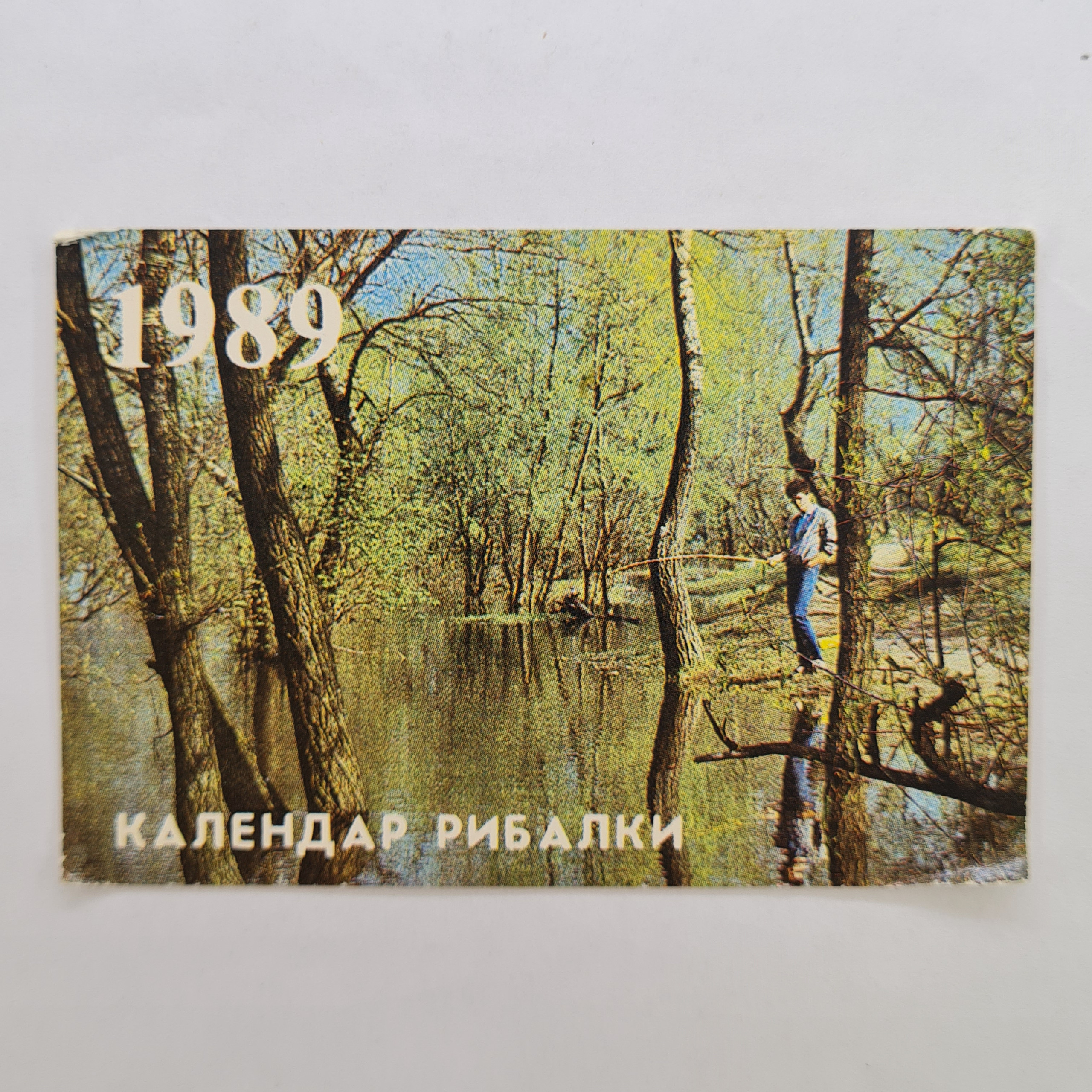 Картинка 1