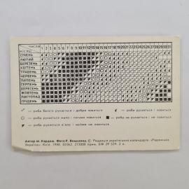 Картинка 2
