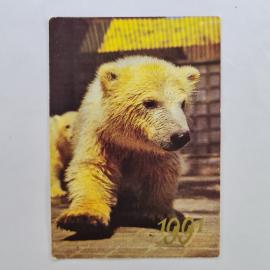 Карманный календарик СССР 1991. Белый медвежонок, животные. Советский календарь винтажный